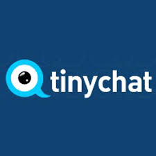 Recenze TinyChatu